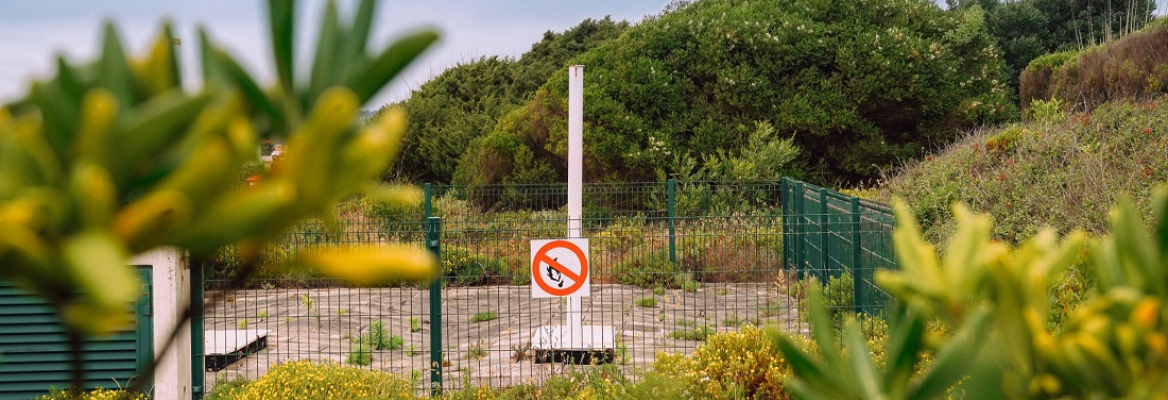Gás Propano Canalizado