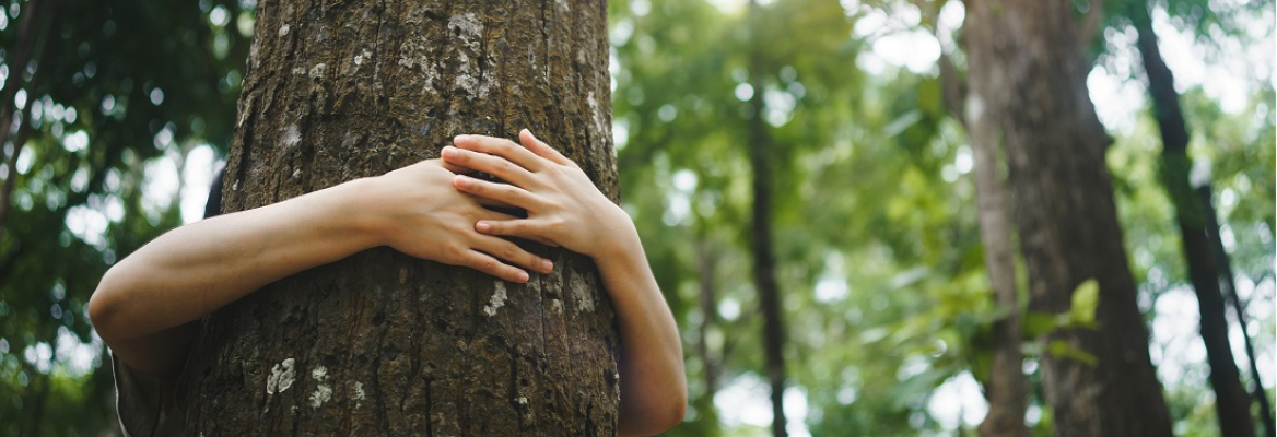 preservação do meio ambiente