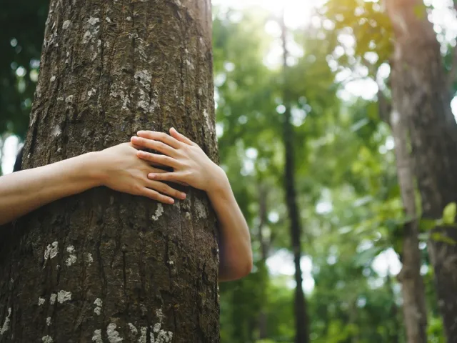 preservação do meio ambiente