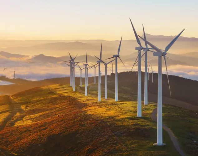 Energia eolica: campo com moinhos de vento